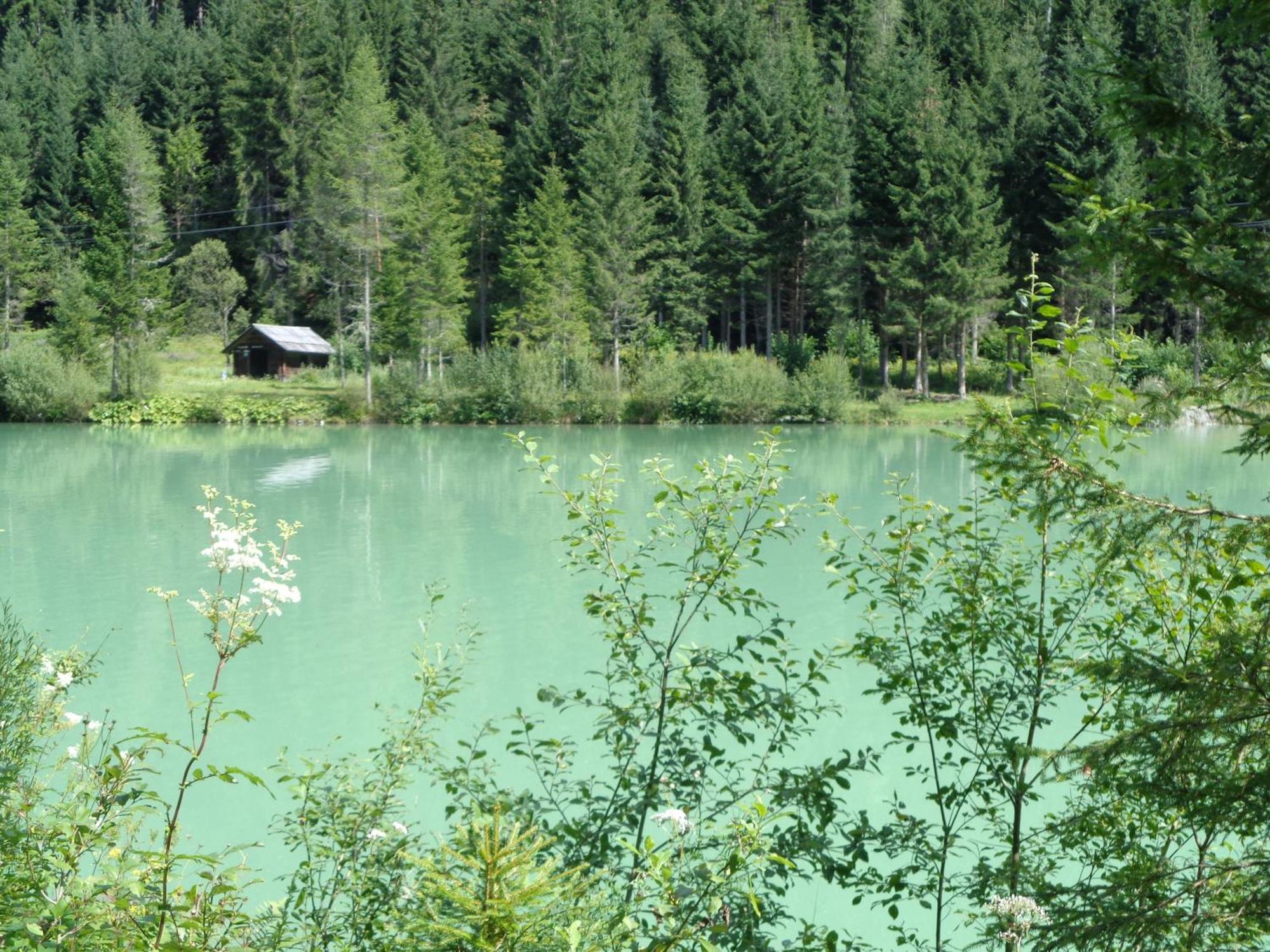 Ferienhaus Lechnerhof Schladming Extérieur photo