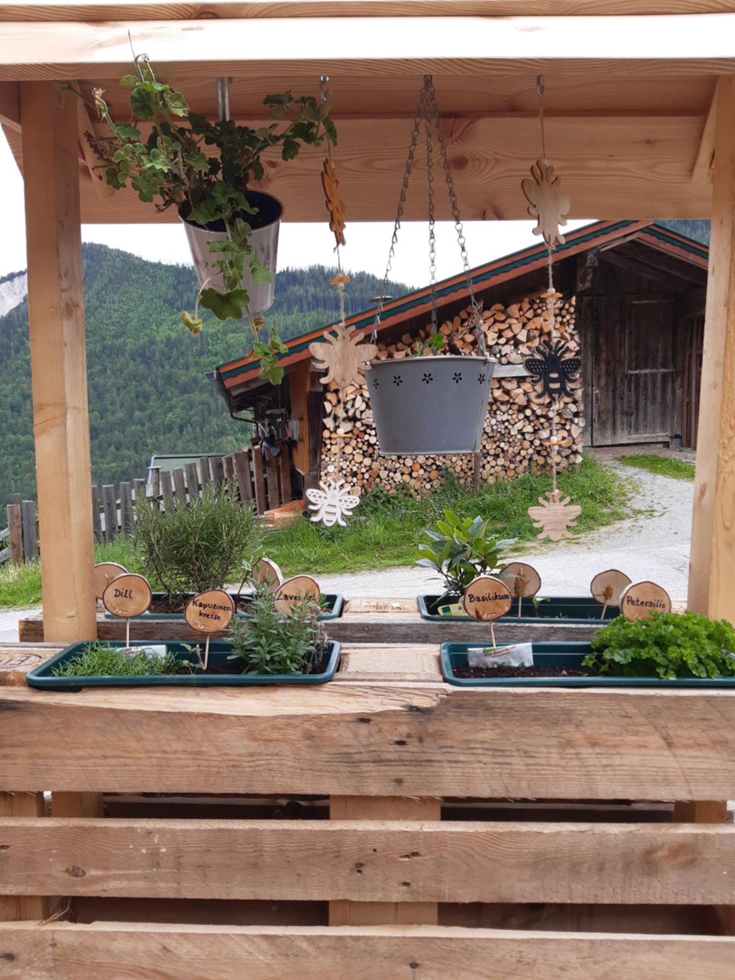 Ferienhaus Lechnerhof Schladming Extérieur photo