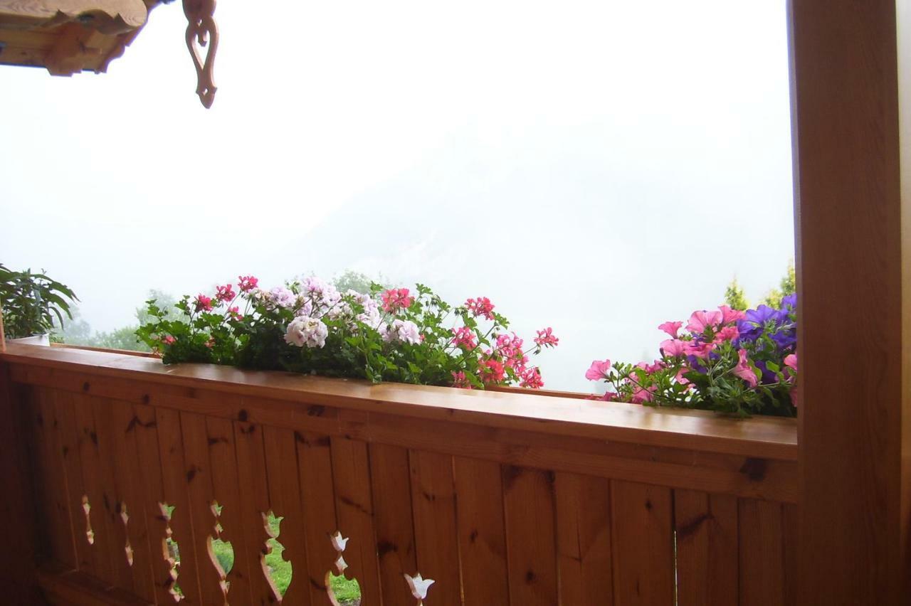 Ferienhaus Lechnerhof Schladming Extérieur photo